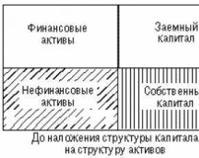 Metodologia per valutare la sostenibilità finanziaria di Dontsova e Nikforova