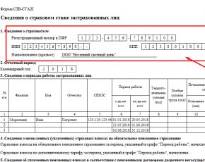 Formulár SZV-skúsenosti: ako vyplniť a odoslať nový formulár na ročné podávanie správ do Dôchodkového fondu Ruska Programy na prípravu správ do Dôchodkového fondu Ruska