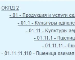 Общероссийские классификаторы, закрепленные за минэкономразвития россии Окпд 2 с расшифровкой по видам деятельности